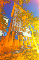 Japan Center #gcw0037